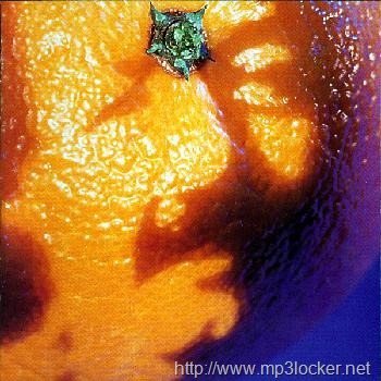 [Picture_of_Nectar_cover[2].jpg]
