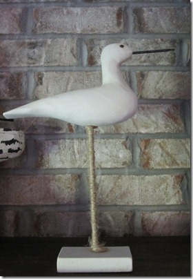 IMG_3562 IMG_3562