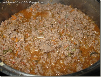 Lasagne alla bolognese - sosul de carne