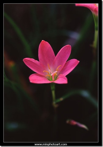 Slide-28