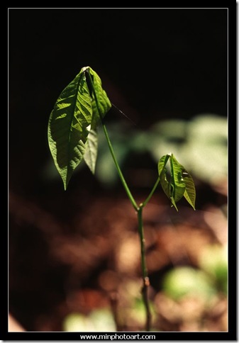Slide-22