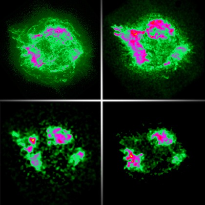 [imagens em raios-X da supernova Cassiopeia A[4].jpg]