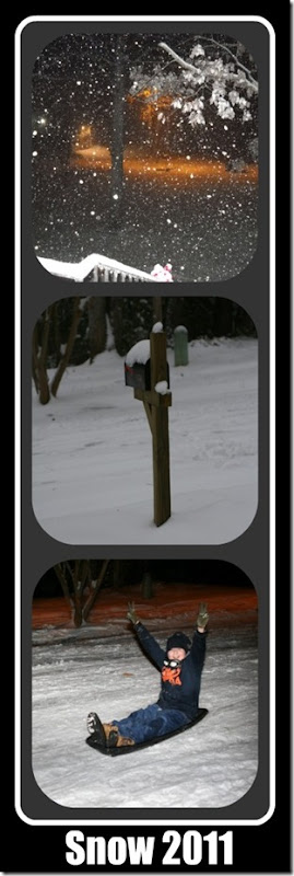 Snow 2011