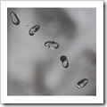 peter gabriel - up peter gabriel - up