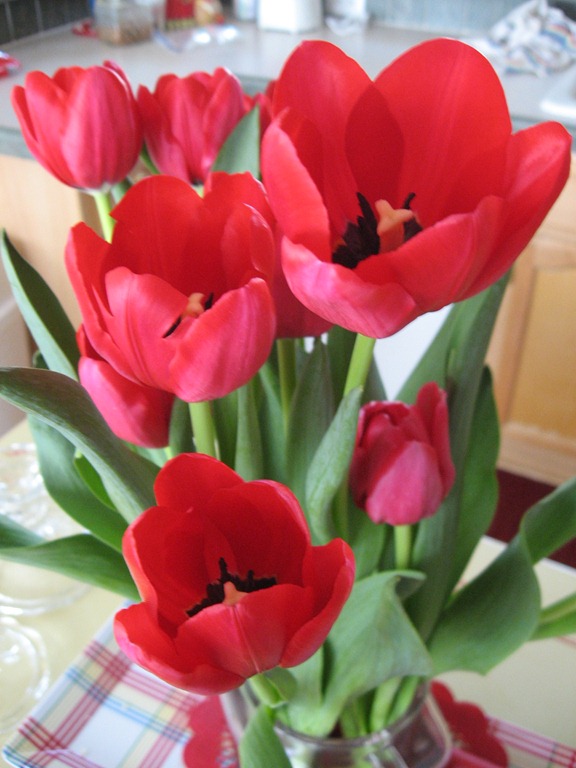 [Birthday Tulips 1[3].jpg]