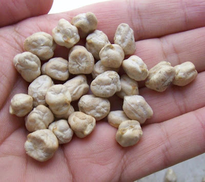 Garbanzo