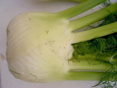 Fenchel Fenchel
