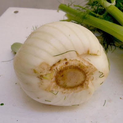 Fenchel Fenchel