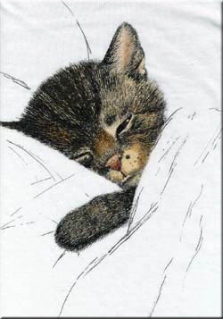 [Chessie_The_Kitten14.jpg]