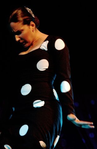 [LUISA PALICIO_312x480[3].jpg]