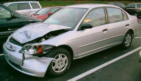 [20061127_deer_hit11[2].jpg]