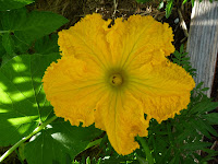 P1000999