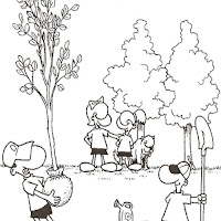 environment3.jpg