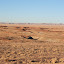 Homolovi Ruins State Park (Winslow, AZ)