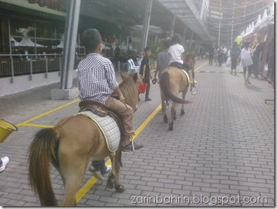 pony lg