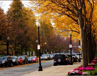 Boston_Streets Boston_Streets