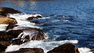 The-Sea The-Sea
