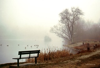 foggyday foggyday