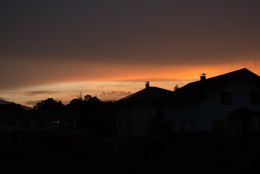 sunset