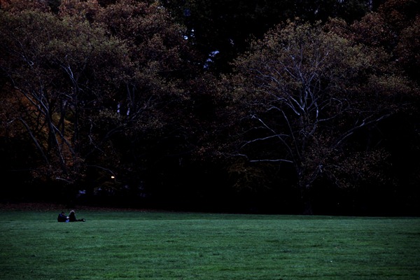 dark autumn
