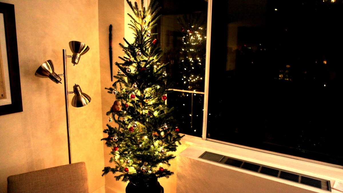 [christmas tree[2].jpg]