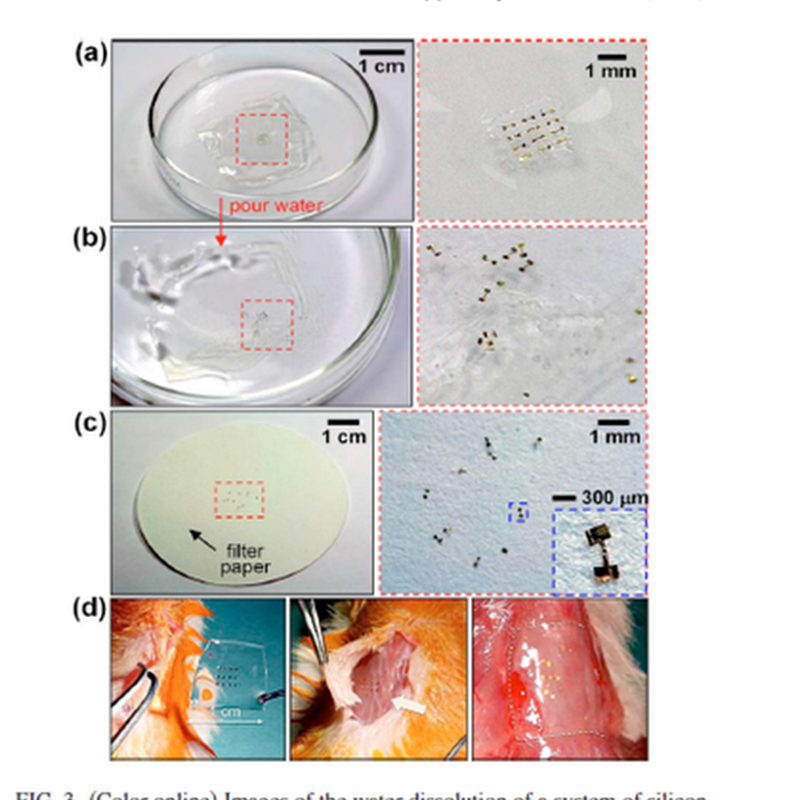 Implantable electronics and possible application in sports science