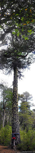 DSCF3118.jpg