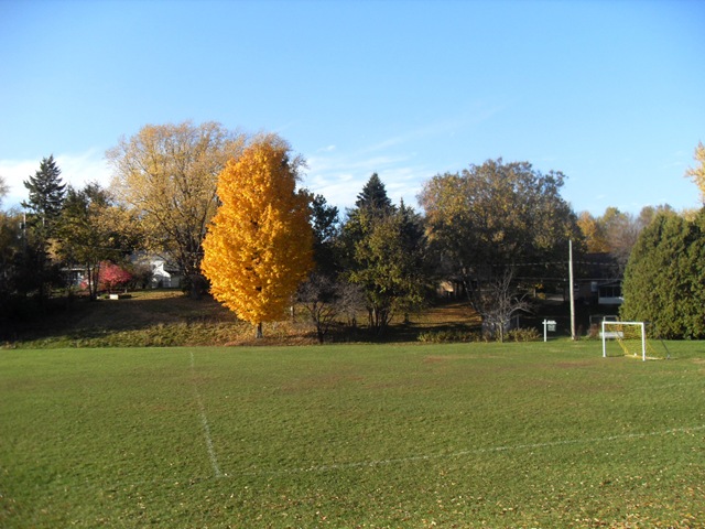 [YellowPark[3].jpg]