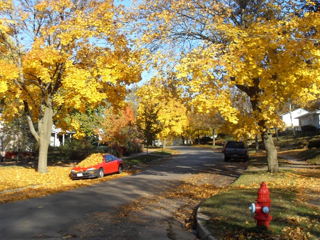 [YellowRoad[3].jpg]