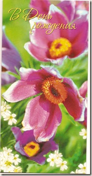 scan
