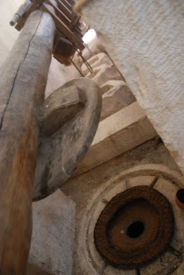 Nazareth Village - Olive Press