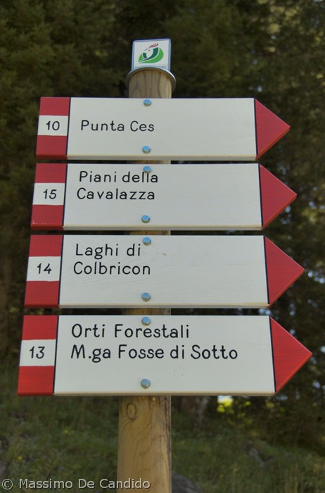 [Cartelli[33].jpg]