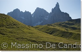 Pale_San_Martino