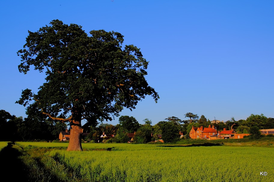 IMAGE: http://lh4.ggpht.com/_hdZasF15SMc/TBlHryk7h9I/AAAAAAAALuQ/XY57A36nVag/s912/IMG_0922.JPG