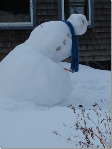 poor snowman!