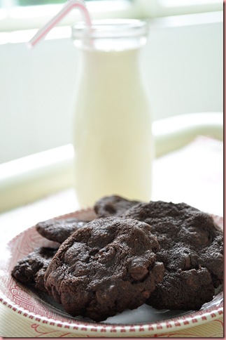 Mexican Chocolate Cookies2