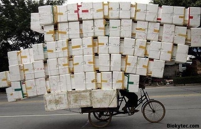 Transportando cosas en china - www.Biokytec.com - bye-6
