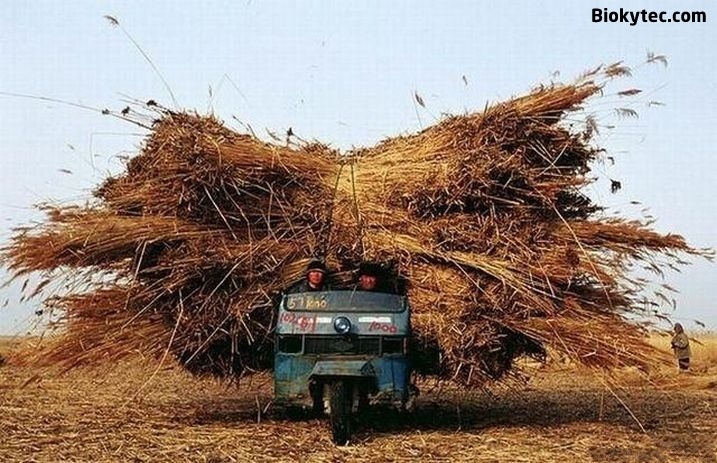 [Transportando cosas en china - www.Biokytec.com - bye-9[3].jpg]