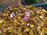 IMG_0047.JPG