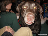 IMG_0712.JPG