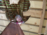 IMG_1353.JPG