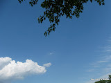 IMG_1585.JPG