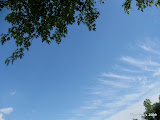IMG_1586.JPG