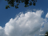 IMG_1589.JPG