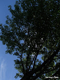 IMG_1603.JPG
