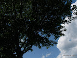 IMG_1618.JPG