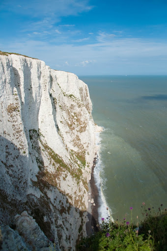 DSC_0101.jpg