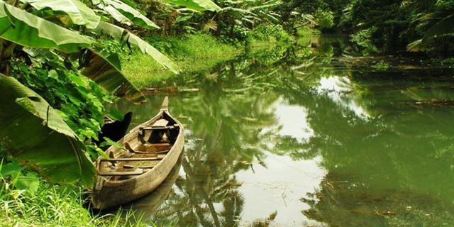 [looms_of_kerala[4].jpg]