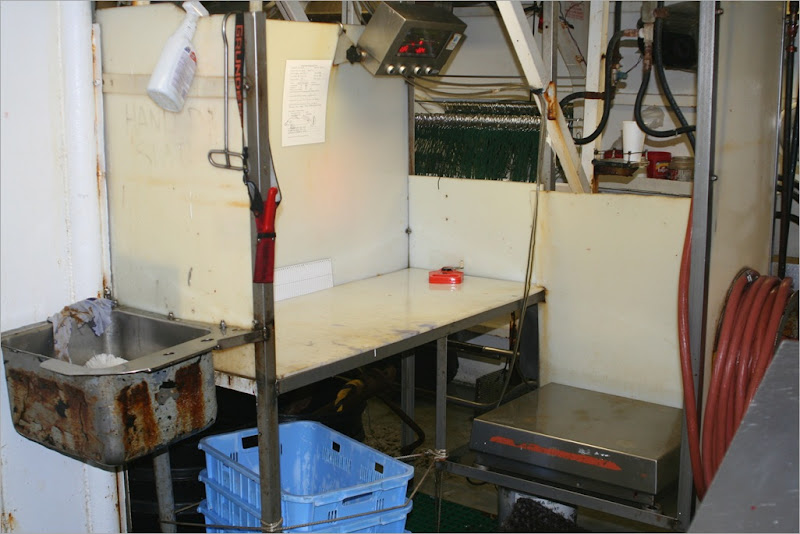 My sampling station. You can see my blue baskets under the table and to the right of them is my Motion Compensating Platform scale. that was a blessing to have. 