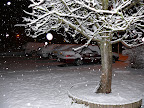 SNOW!! snow love